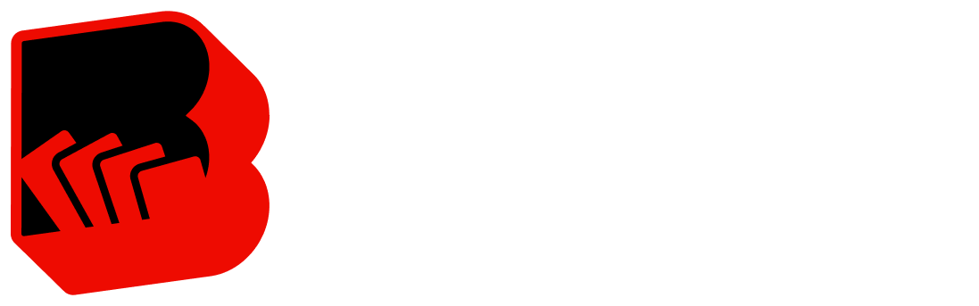 BlotX